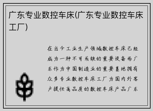 广东专业数控车床(广东专业数控车床工厂)